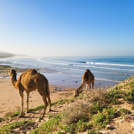 Casa Janoub Morocco Hotel Tamraght ภายนอก รูปภาพ