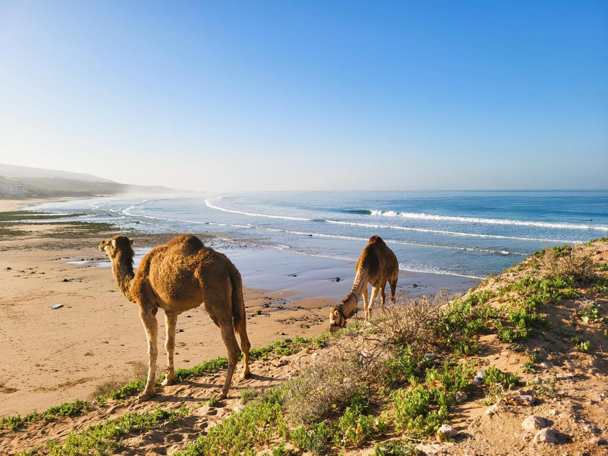 Casa Janoub Morocco Hotel Tamraght ภายนอก รูปภาพ